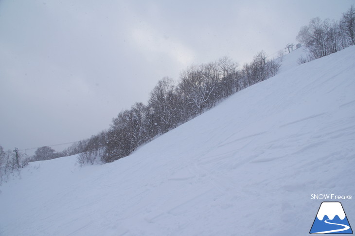 北海道スキー場巡り 2018 ～函館七飯スノーパーク・ニヤマ高原スキー場～